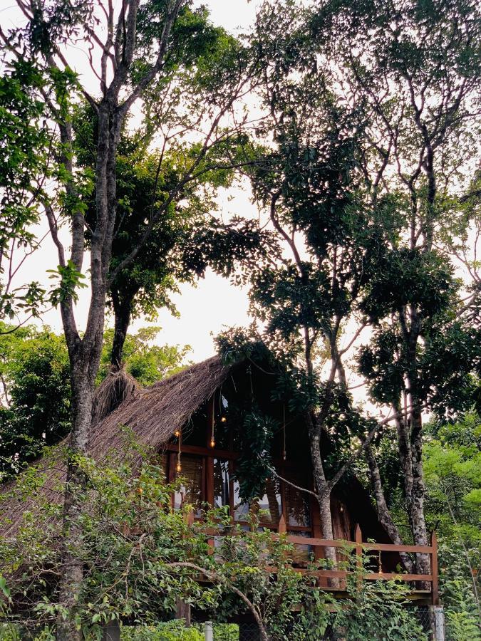Kale Cottage Belihuloya Esterno foto